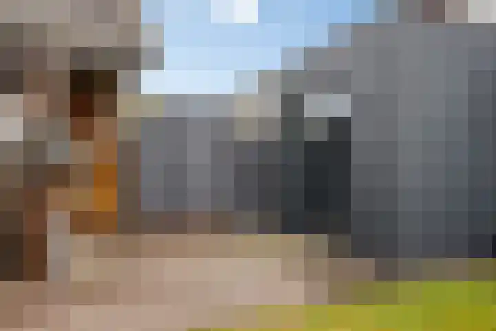 De Stoeke 19 Wolvega thumbnail 26