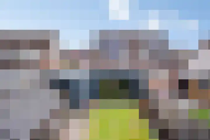 De Stoeke 19 Wolvega thumbnail 27