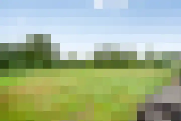 De Stoeke 19 Wolvega thumbnail 29