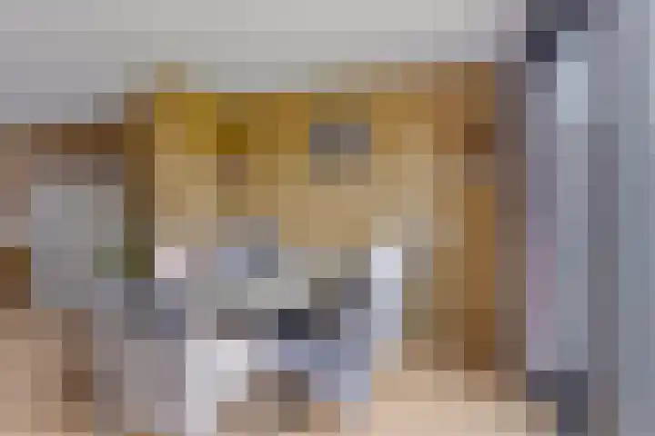 De Stoeke 19 Wolvega thumbnail 5