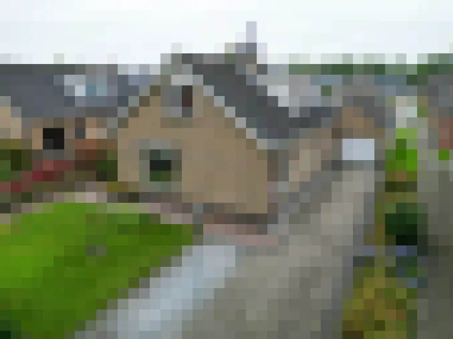 De Stoeken 6 De Wilp