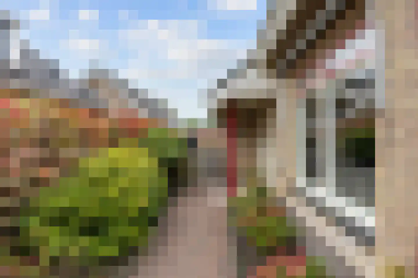 De Stoeken 6 De Wilp thumbnail 12
