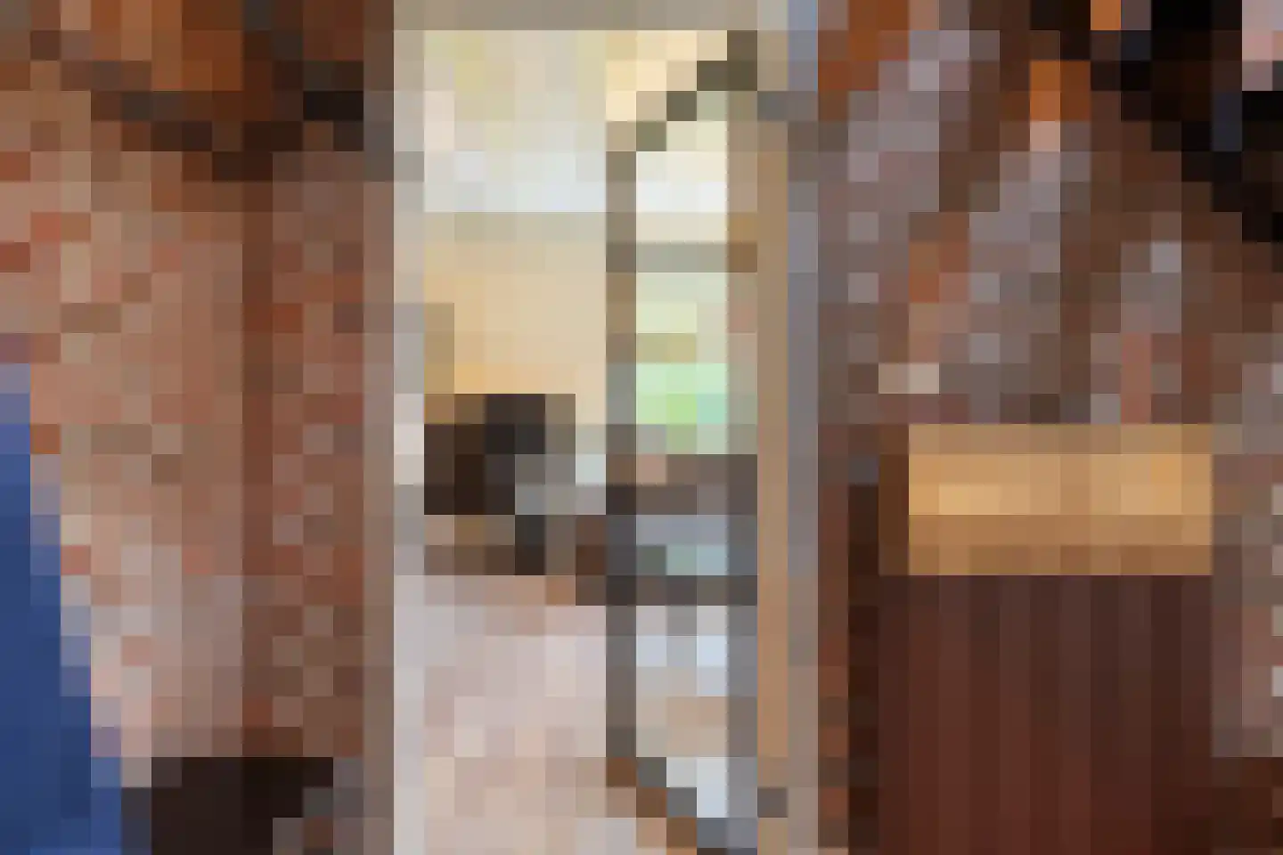 De Stoeken 6 De Wilp thumbnail 17