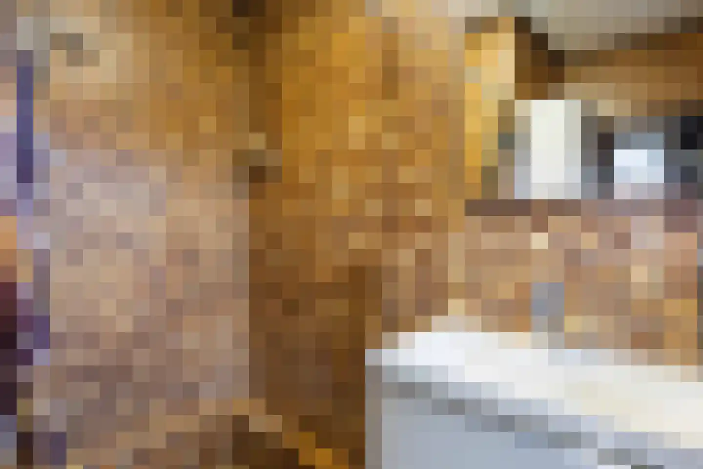 De Stoeken 6 De Wilp thumbnail 39
