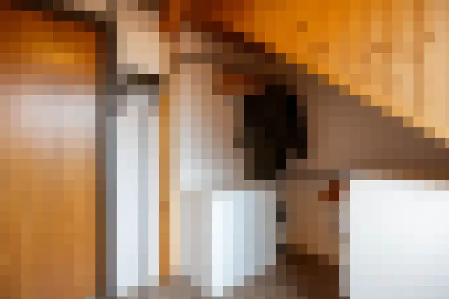 De Stoeken 6 De Wilp thumbnail 54