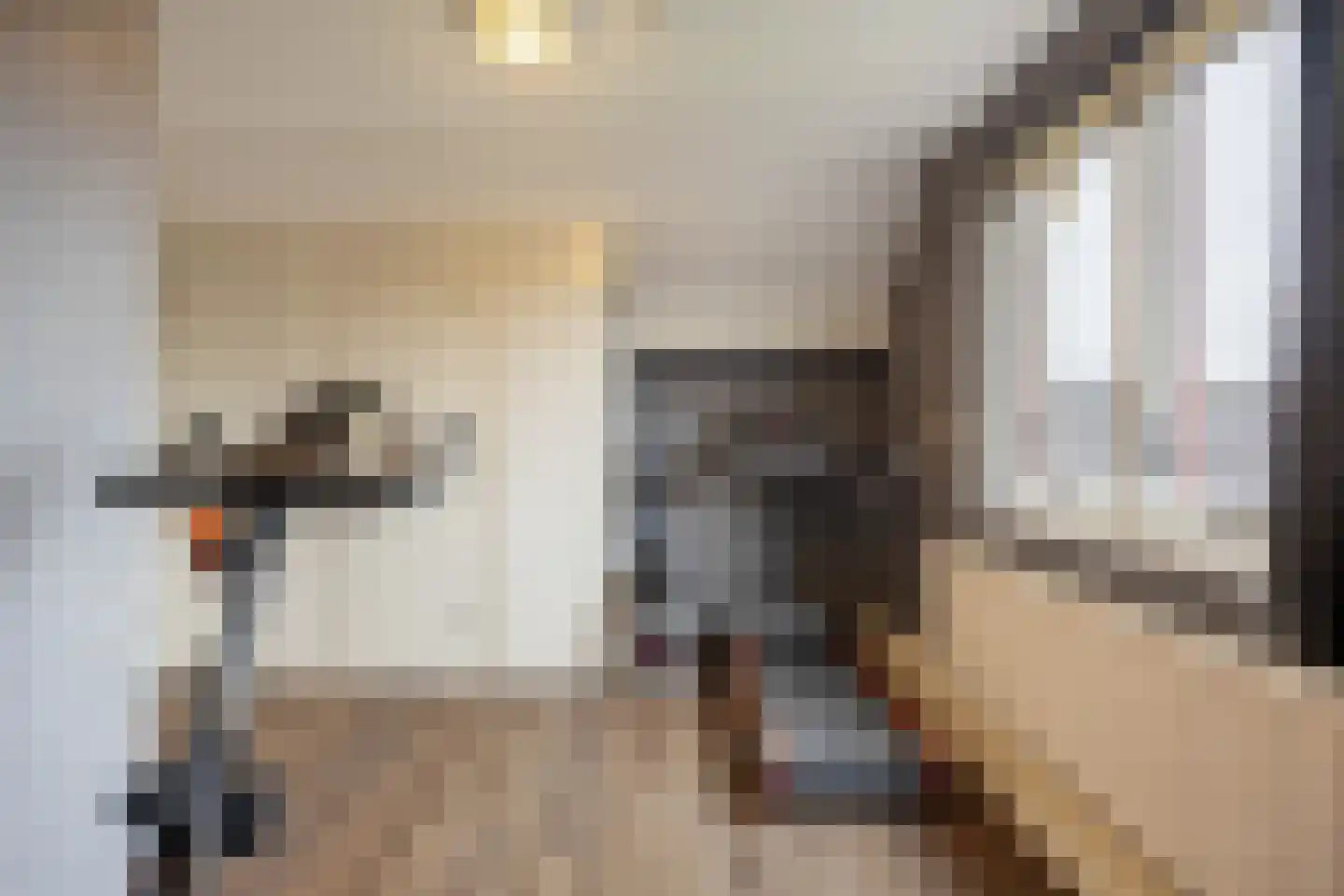 De Stoeken 6 De Wilp thumbnail 58