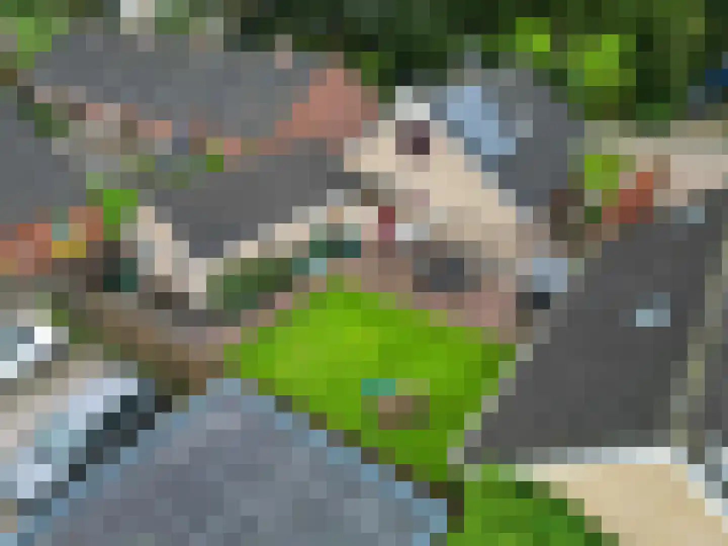 De Stoeken 6 De Wilp thumbnail 65