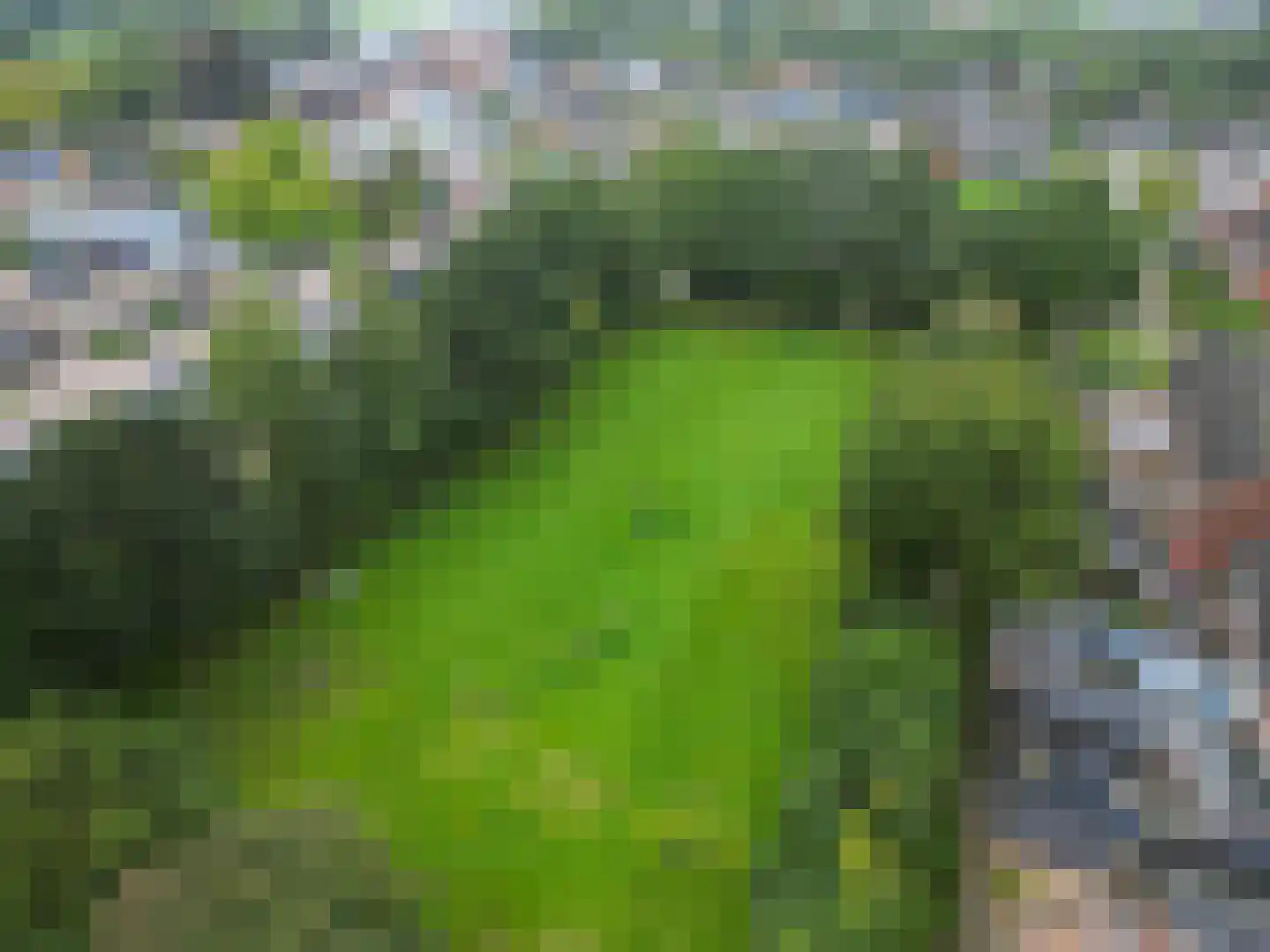De Stoeken 6 De Wilp thumbnail 67