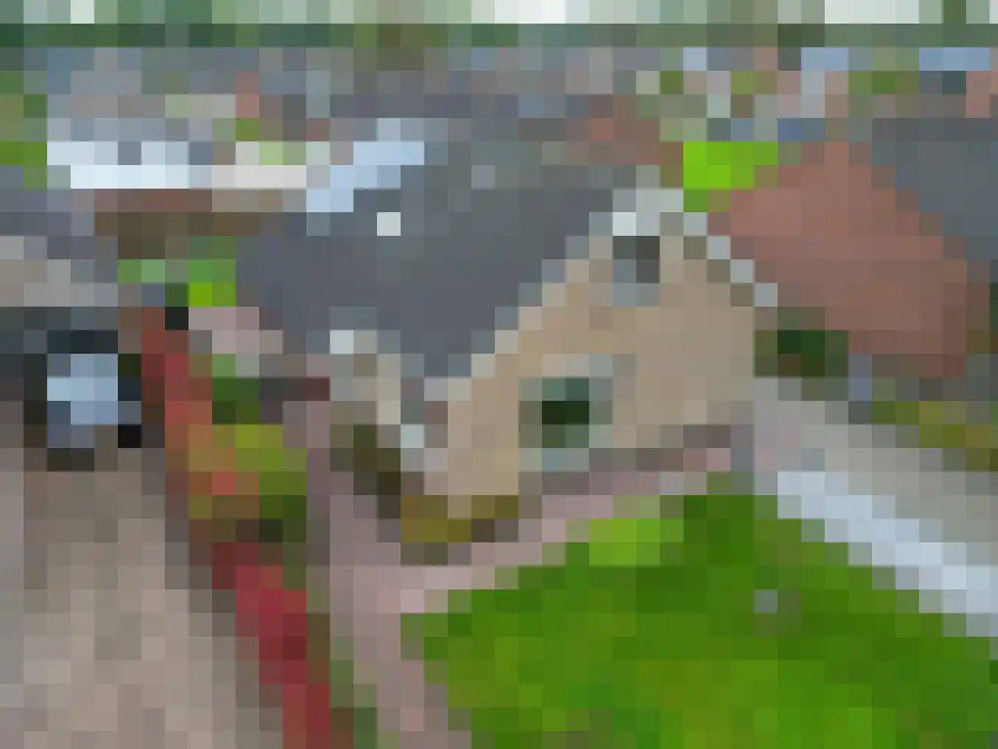 De Stoeken 6 De Wilp thumbnail 68