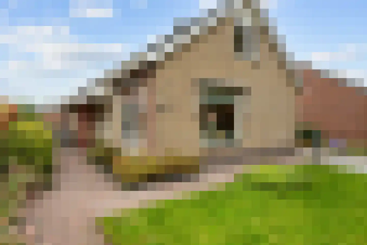 De Stoeken 6 De Wilp thumbnail 8