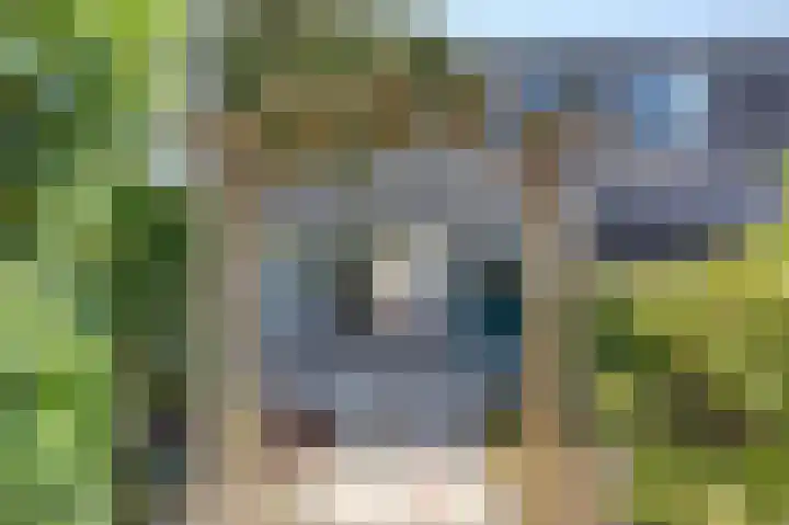 De Stoeken 8 Drachten thumbnail 27