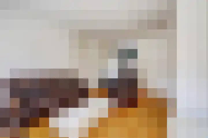 De Stoeken 8 Drachten thumbnail 8