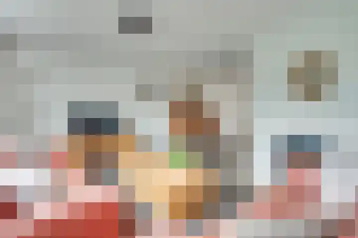 de Stoelenmatter 19 Heeze thumbnail 12