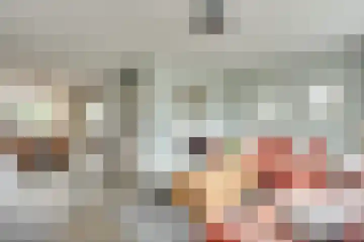 de Stoelenmatter 19 Heeze thumbnail 13