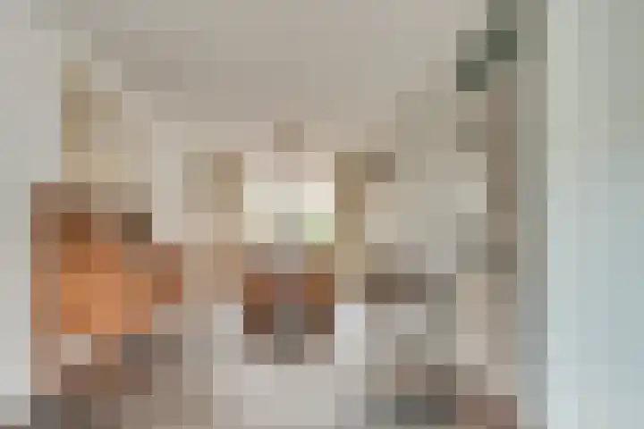 de Stoelenmatter 19 Heeze thumbnail 14