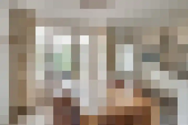 de Stoelenmatter 19 Heeze thumbnail 16