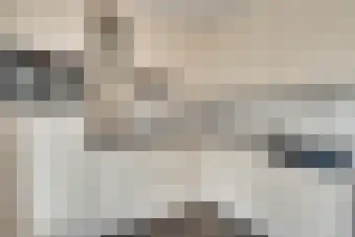 de Stoelenmatter 19 Heeze thumbnail 19