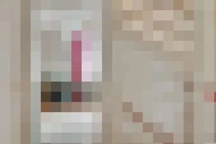 de Stoelenmatter 19 Heeze thumbnail 29
