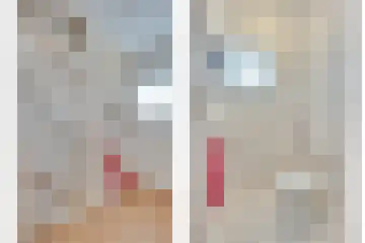 de Stoelenmatter 19 Heeze thumbnail 32