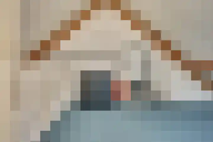de Stoelenmatter 19 Heeze thumbnail 33