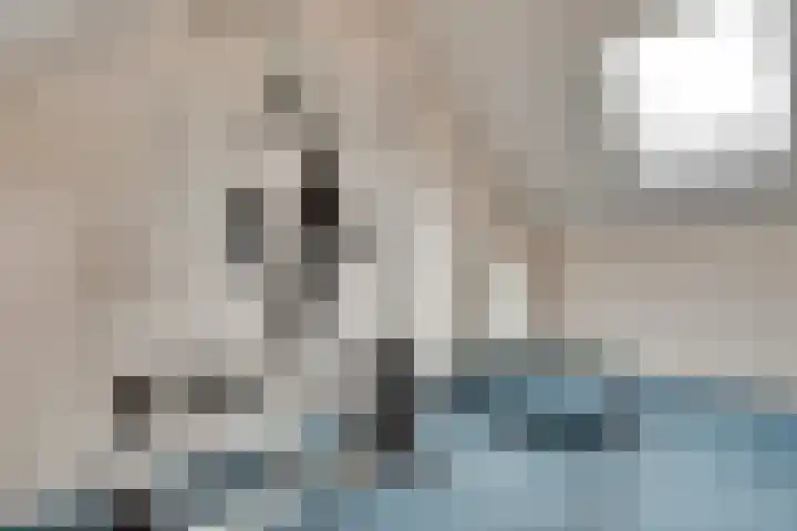de Stoelenmatter 19 Heeze thumbnail 35