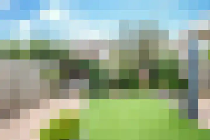 de Stoelenmatter 19 Heeze thumbnail 38