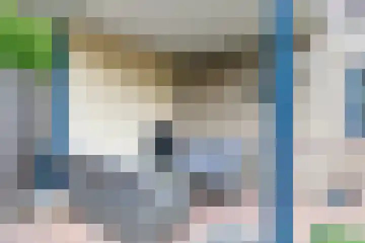 de Stoelenmatter 19 Heeze thumbnail 40