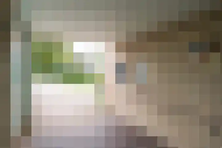 de Stoelenmatter 19 Heeze thumbnail 6