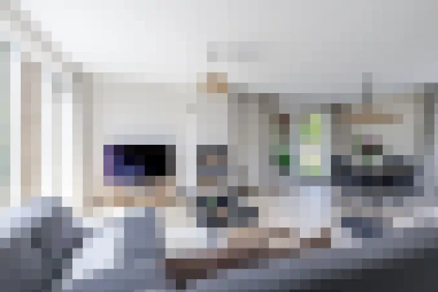 De Stolp 9 Hoogwoud thumbnail 12