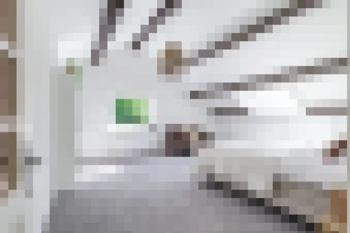 De Stolp 9 Hoogwoud thumbnail 37