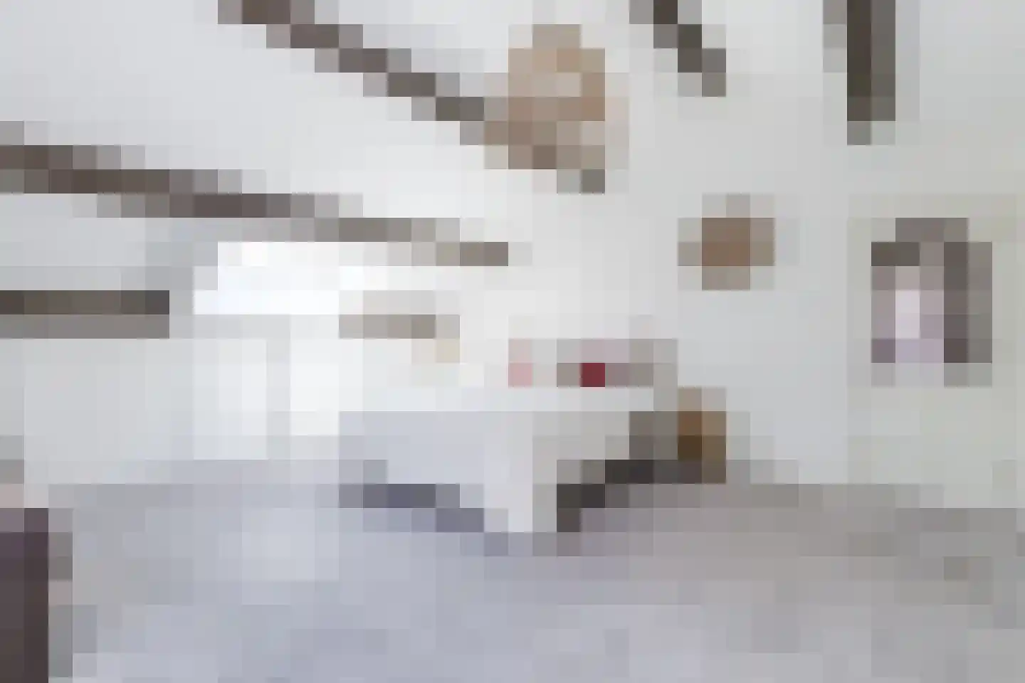 De Stolp 9 Hoogwoud thumbnail 38