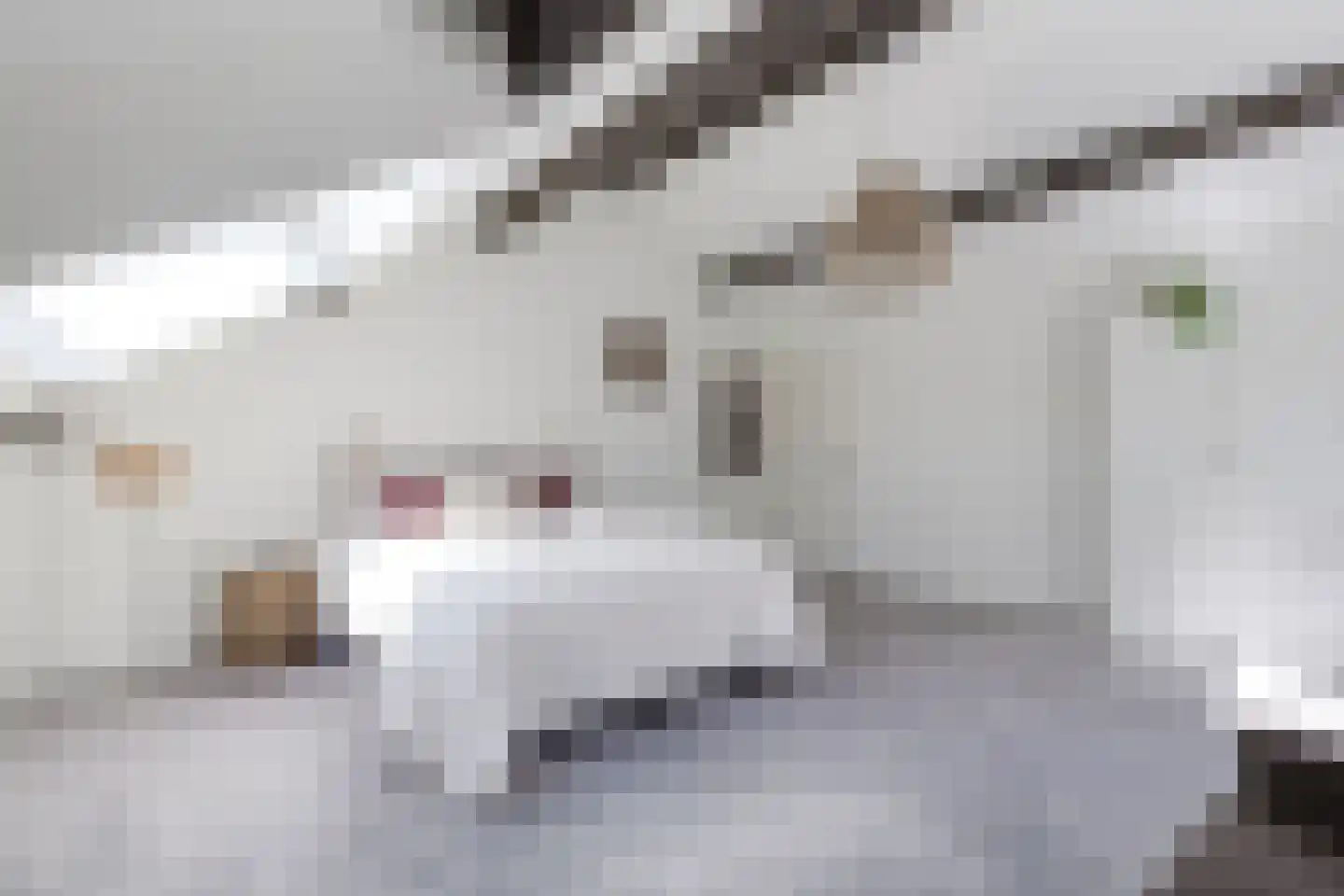 De Stolp 9 Hoogwoud thumbnail 39