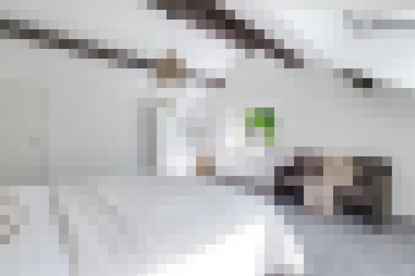 De Stolp 9 Hoogwoud thumbnail 40