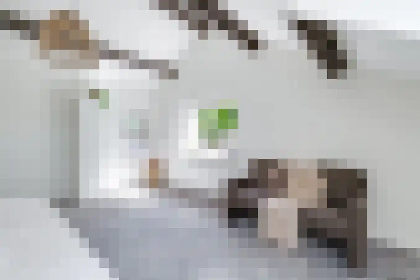 De Stolp 9 Hoogwoud thumbnail 41