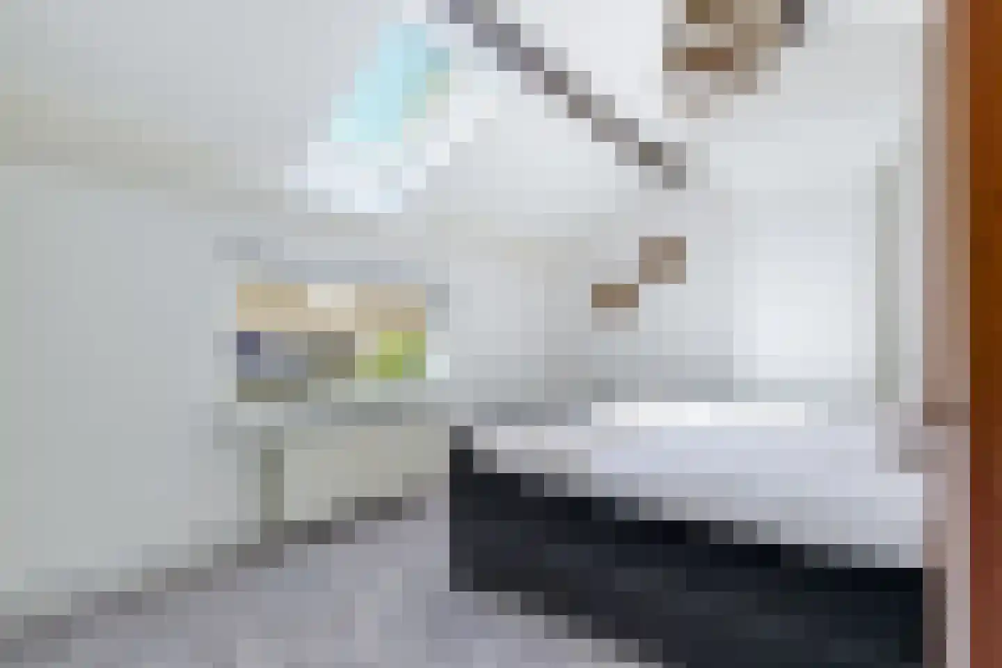 De Stolp 9 Hoogwoud thumbnail 44