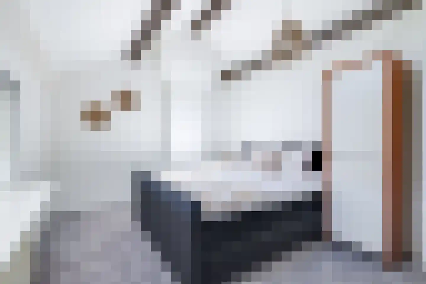 De Stolp 9 Hoogwoud thumbnail 45