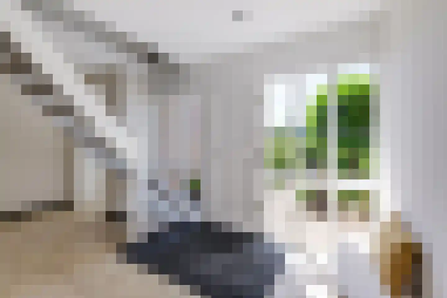 De Stolp 9 Hoogwoud thumbnail 8