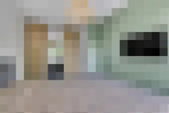 De Stomphorst 44 Wekerom thumbnail 19