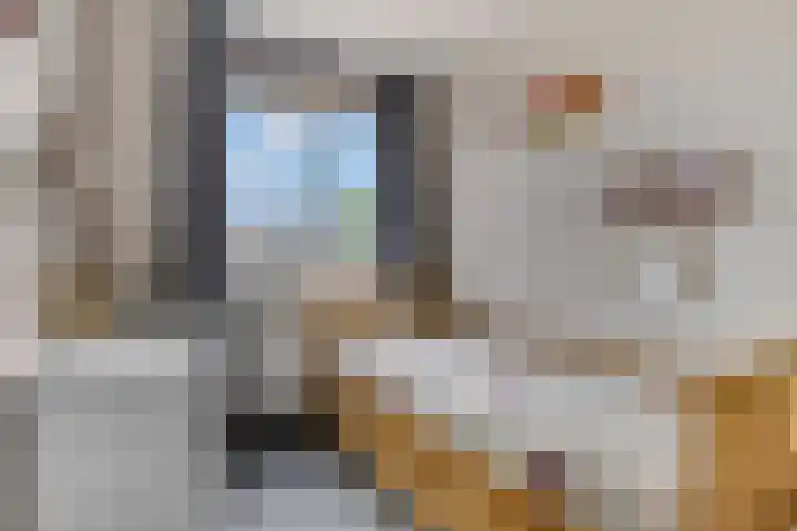 De Stomphorst 44 Wekerom thumbnail 20