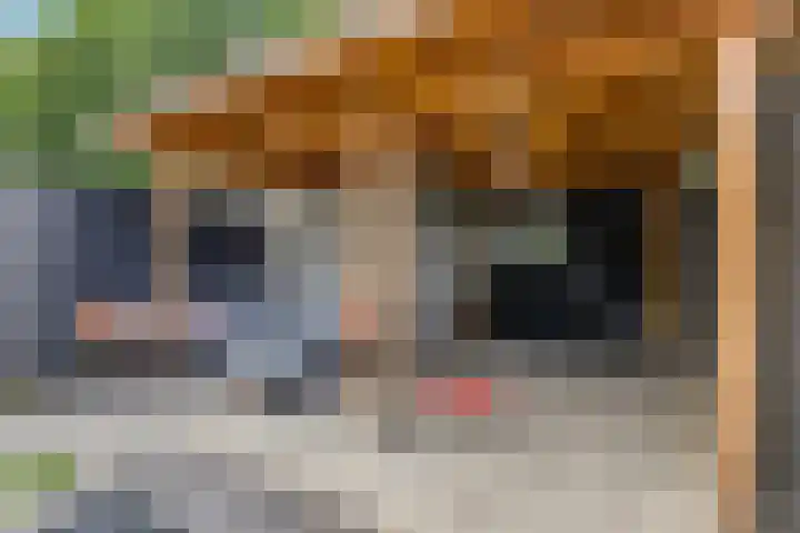 De Stomphorst 44 Wekerom thumbnail 38