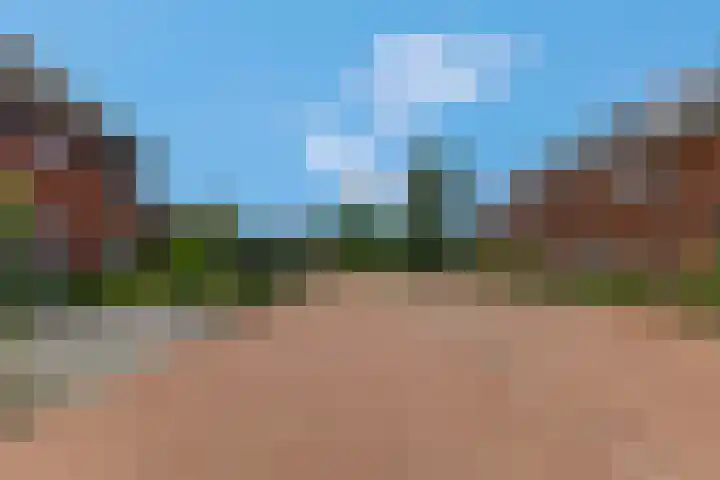 De Stomphorst 44 Wekerom thumbnail 41