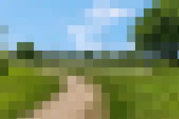 De Stomphorst 44 Wekerom thumbnail 47