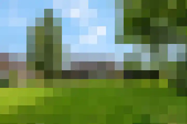 De Stomphorst 44 Wekerom thumbnail 48