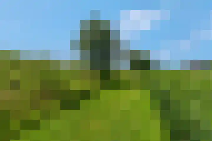 De Stomphorst 44 Wekerom thumbnail 49