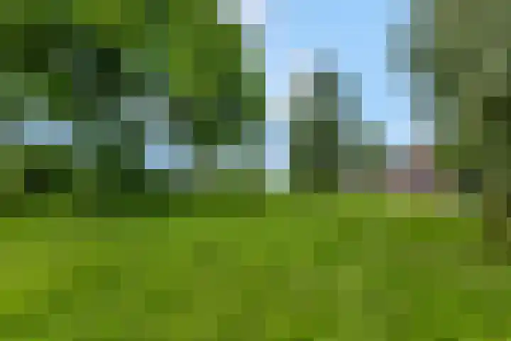 De Stomphorst 44 Wekerom thumbnail 50