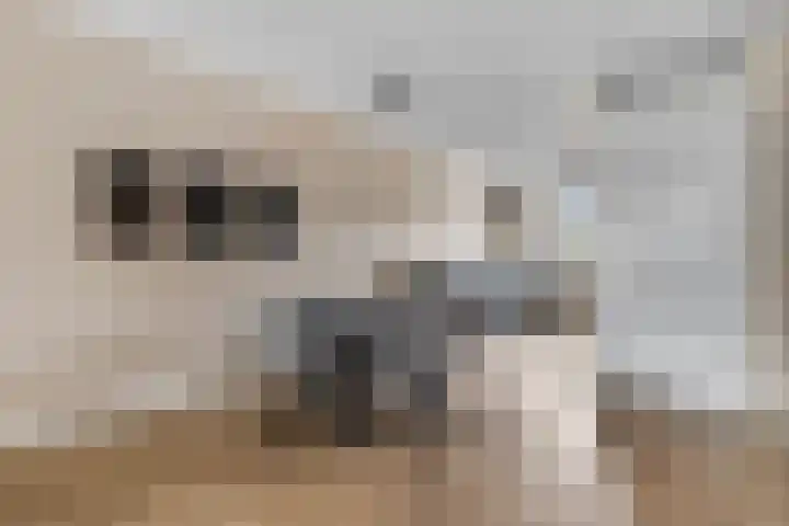 De Stomphorst 44 Wekerom thumbnail 8