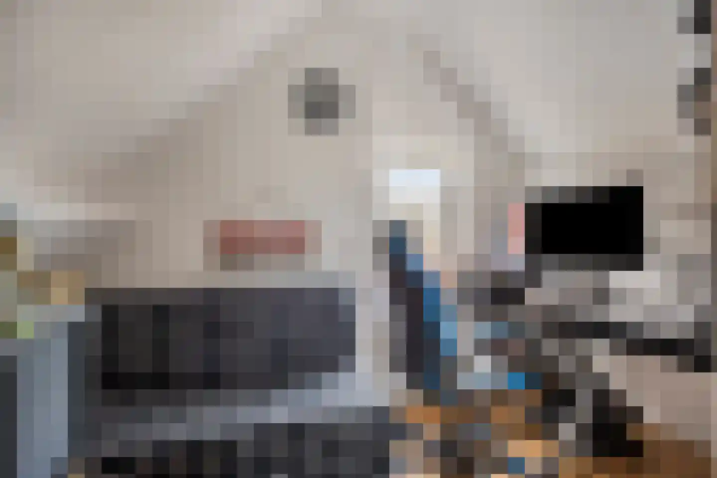 De Stoutheuvel 129 Eindhoven thumbnail 31