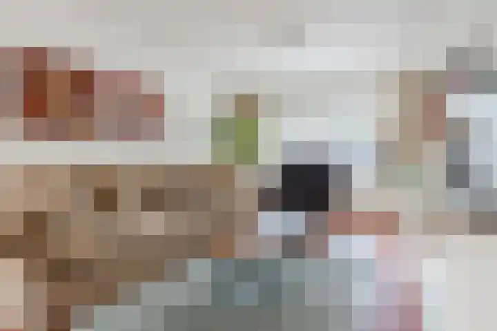 De Stoutheuvel 138 Eindhoven thumbnail 20