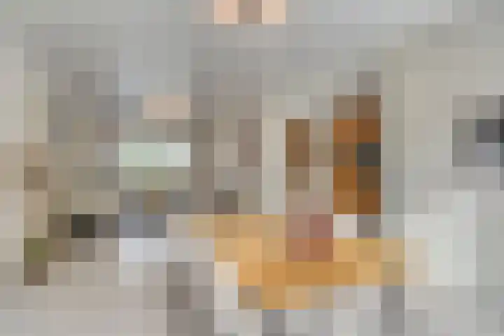 De Stoutheuvel 150 Eindhoven thumbnail 13
