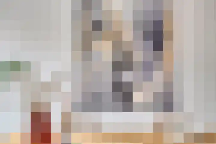De Stoutheuvel 150 Eindhoven thumbnail 14